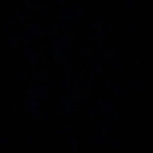 Meet your Posher, Kameron